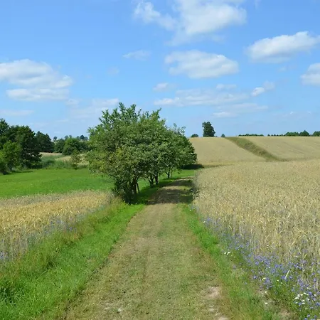 - Siedlisko Gutowo