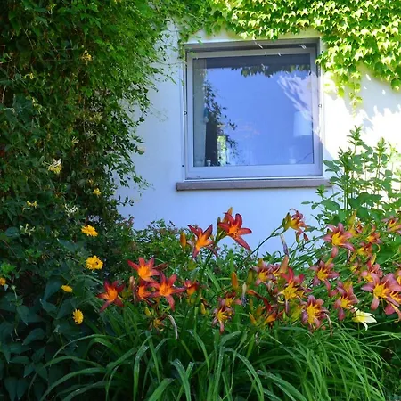 Country house - Siedlisko Gutowo Lidzbark Welski
