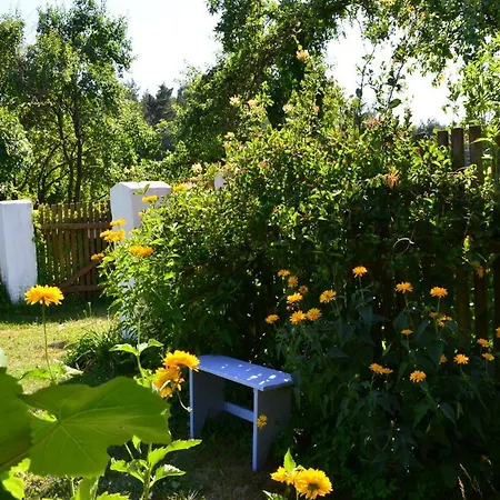 Country house - Siedlisko Gutowo Lidzbark Welski